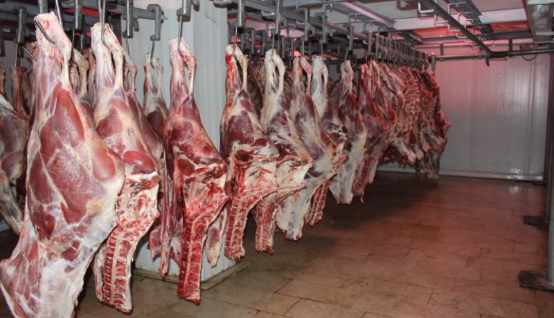 Meat